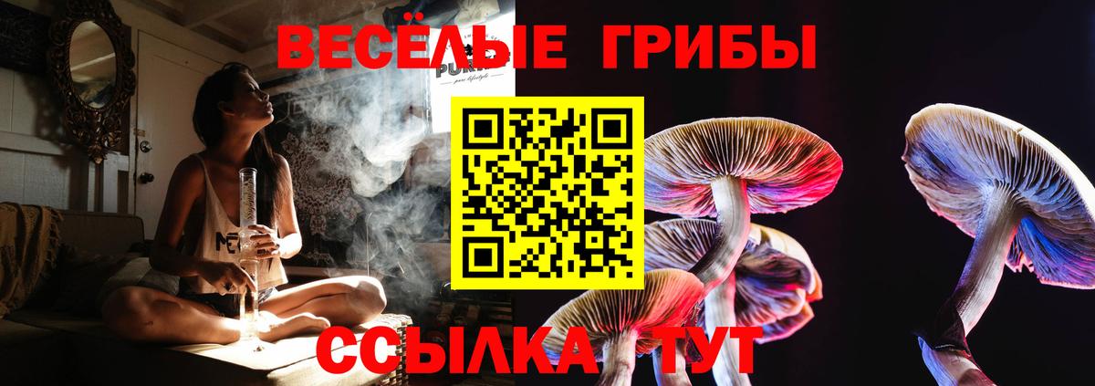 Псилоцибиновые грибы Psilocybine cubensis Назарово