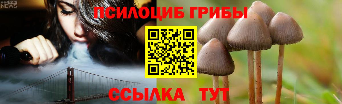 Галлюциногенные грибы GOLDEN TEACHER  Вход с VPN  Назарово 